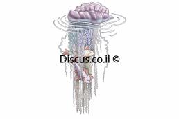 שלפוחן מצוי