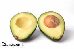אבוקדו
