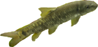 פדיקור דגים