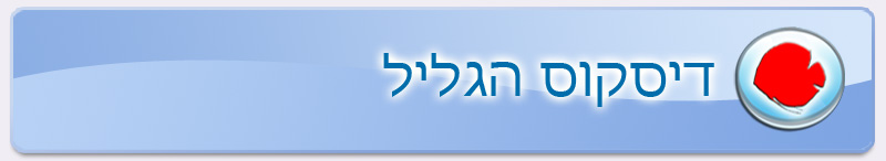 דיסקוס הגליל- דגי נוי, בריכות נוי, אקווריומים